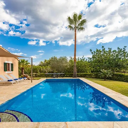 فيلة Joana بويينسا